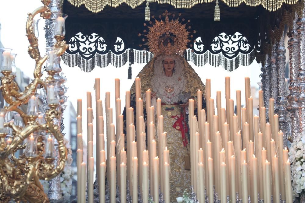 Miércoles Santo | Paloma