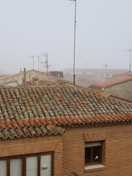 Fotos de los lectores sobre las heladas en Zamora