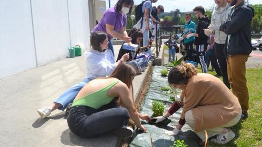 Los alumnos trabajan también en una guía de plantas medicinales. |   // FDV