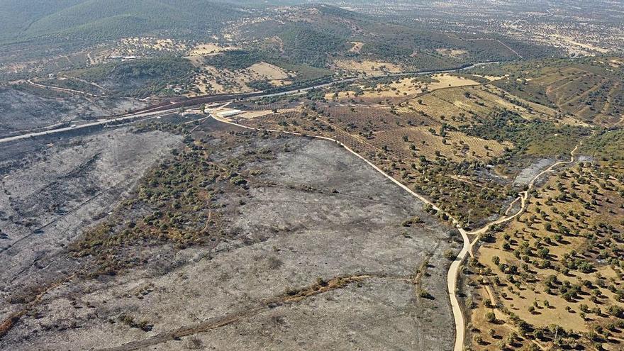 Vista aérea de la superficie quemada en el Calatraveño.