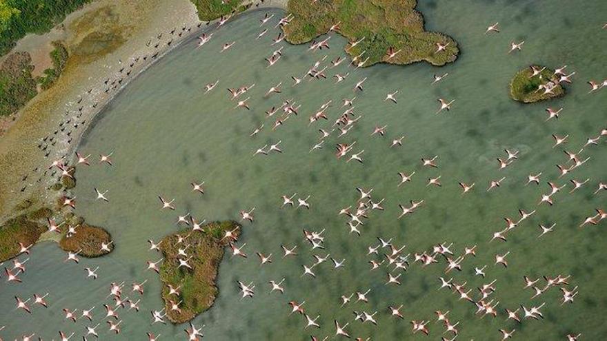 Doñana, un acuífero en la UVI