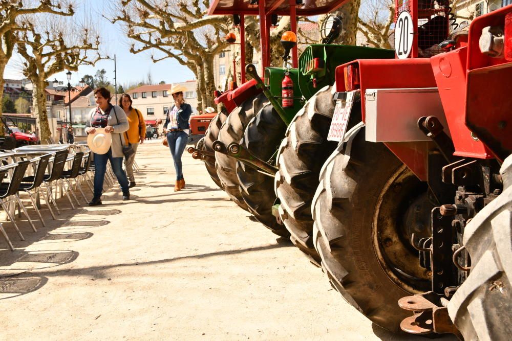 La iniciativa incluye una concentración en la Alameda, una comida de confraternidad y pruebas de habilidad y conducción.