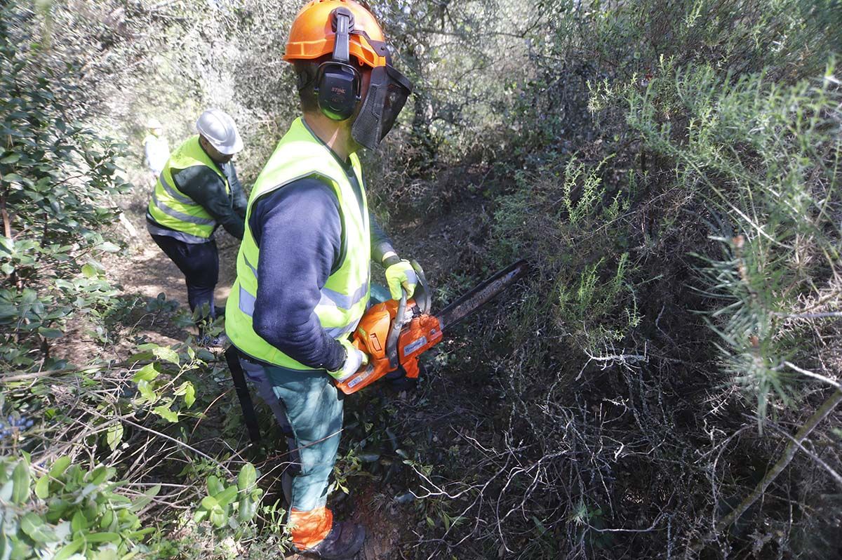 Comienzan las obras del cinturón verde en el entorno de Las Ermitas