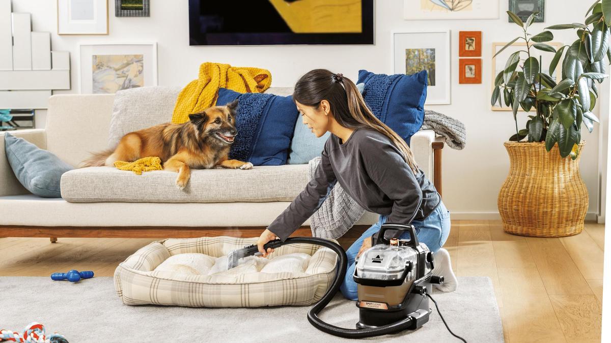 El aspirador quitamanchas perfecto: limpia tu hogar como un experto, ideal para dueños de mascotas