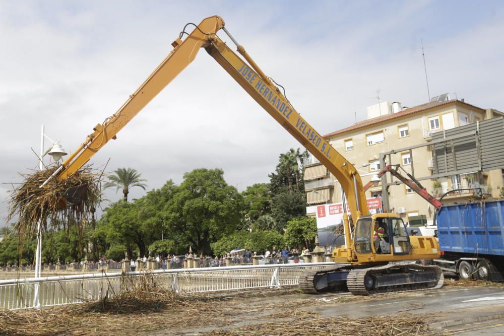 El Segura, en Murcia, a punto de desbordarse