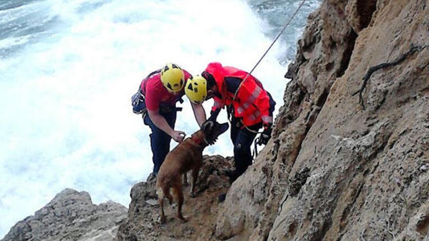 Rescatan a un perro en los acantilados de Banyalbufar