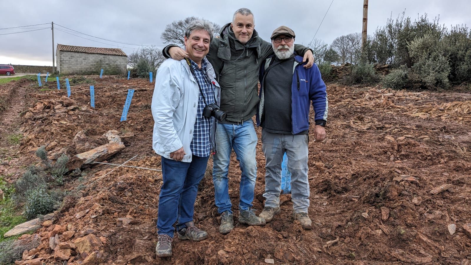 GALERÍA | Un jardín de 20 especies de olivos en Aliste