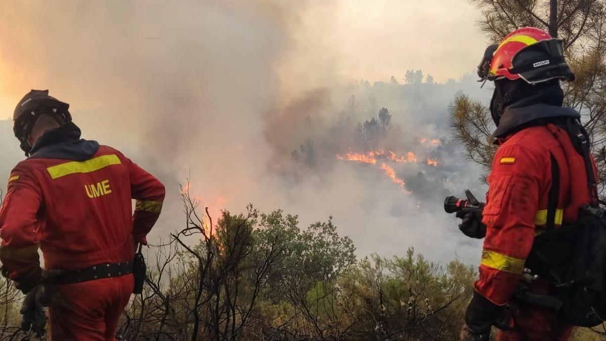 Efectivos de la UME trabajan en el incendio forestal que se ha originado en Villanueva de Viver.