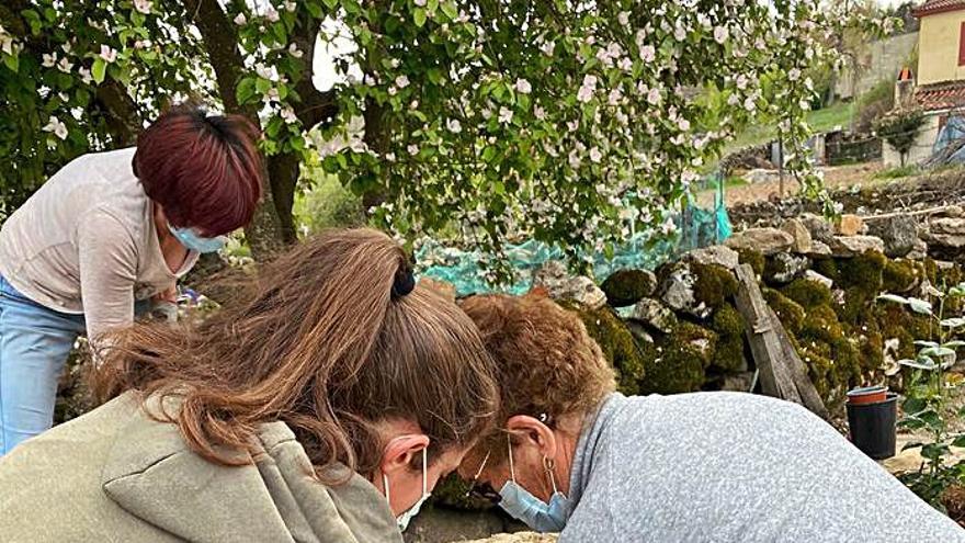 Las vecinas en las tareas de plantación. | Ch. S. 