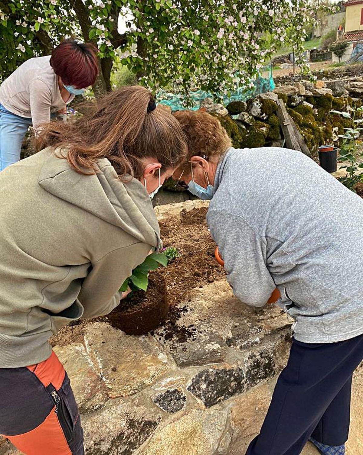 Las vecinas en las tareas de plantación. | Ch. S.