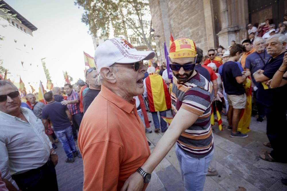 Accidentada manifestación por la