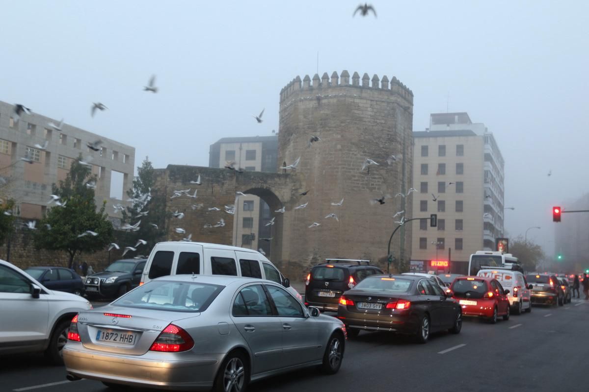 La niebla reina en Córdoba