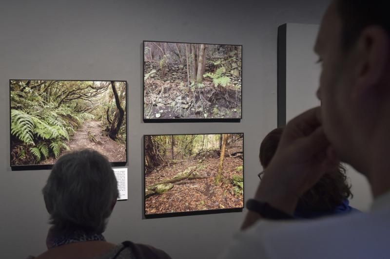 Presentación de libro y exposición sobre la lauris