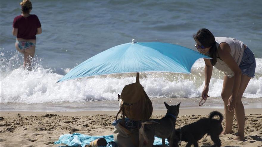 &#039;Sí&#039; a los perros en la playa de Almassora, pero no en verano