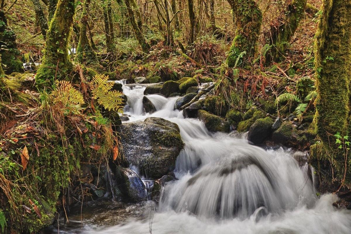 Una de las cascadas de las Fragas do Eume.