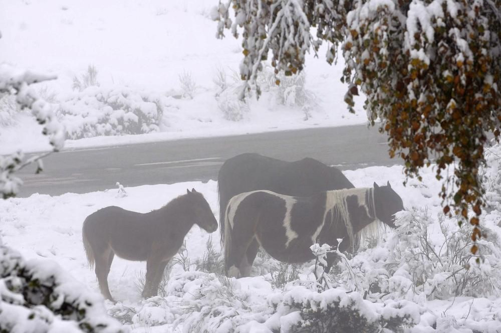 La nieve cubre el norte de España