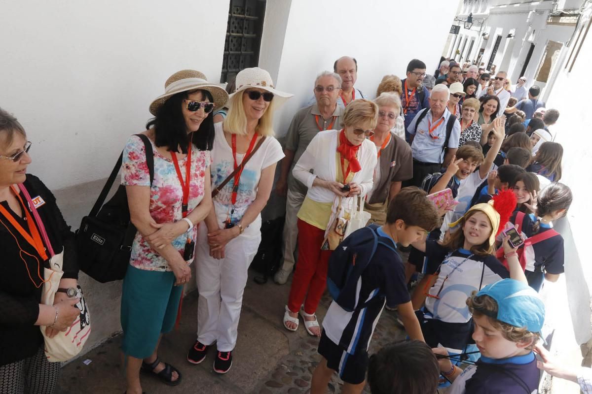 Fotogalería / Día Internacional de los Museos en Córdoba