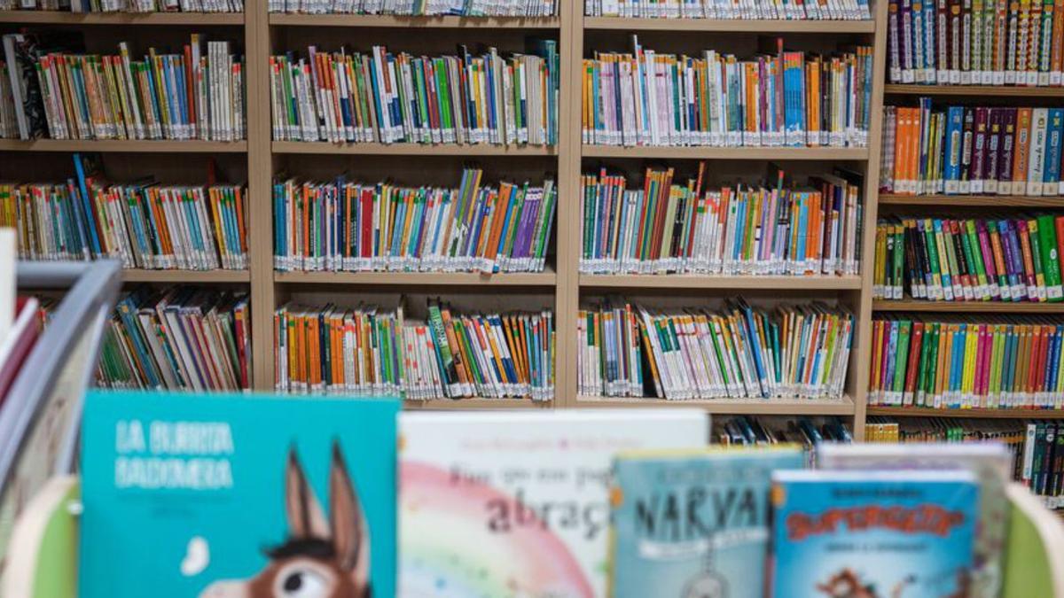 La Biblioteca de Can Ventosa renueva el fondo de libros infantiles  | ZOWY VOETEN