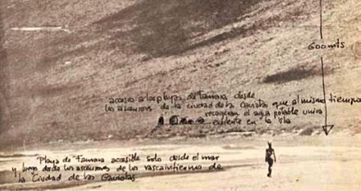 Realidades y sueños de un arquitecto