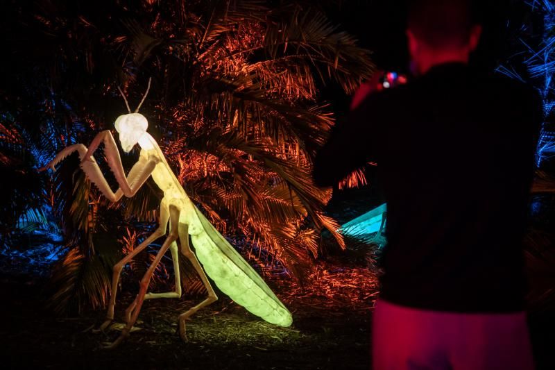 'Naturaleza Encendida'  en el Palmetum (Santa Cruz de Tenerife)