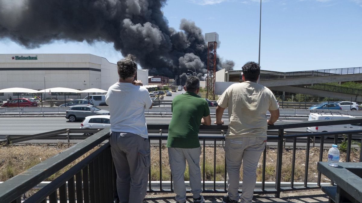 La Junta de Andalucía ha activado la fase de emergencia, situación operativa 1, del Plan Territorial de Emergencias de Protección Civil en Andalucía.