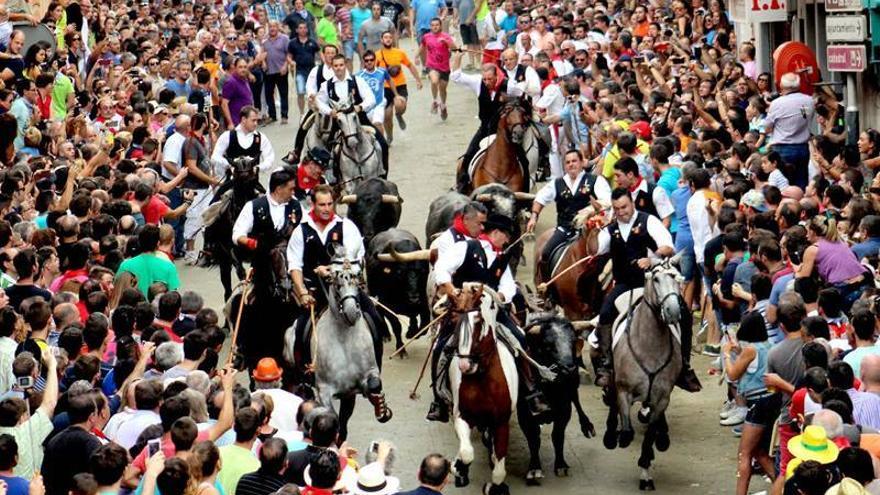 Muere un caballo corneado en la Entrada de toros de Segorbe