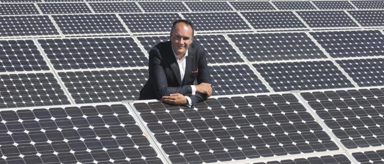 Marcos J. Lacruz, presidente de la patronal de renovables, en un parque solar de Valencia.