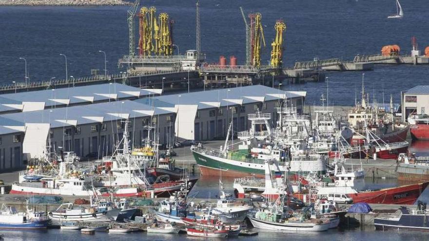 Embarcaciones de pesca amarradas en el muelle coruñés de Oza.