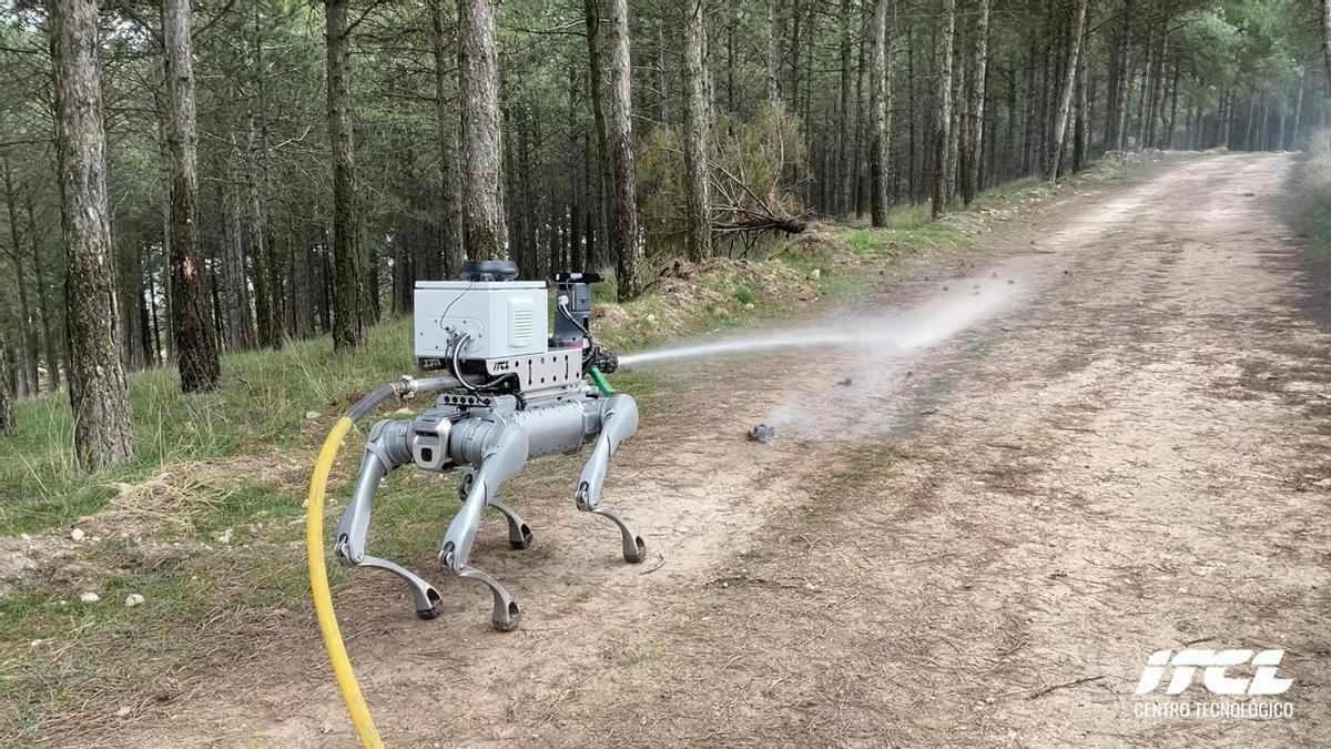 El perro robot, en plena acción