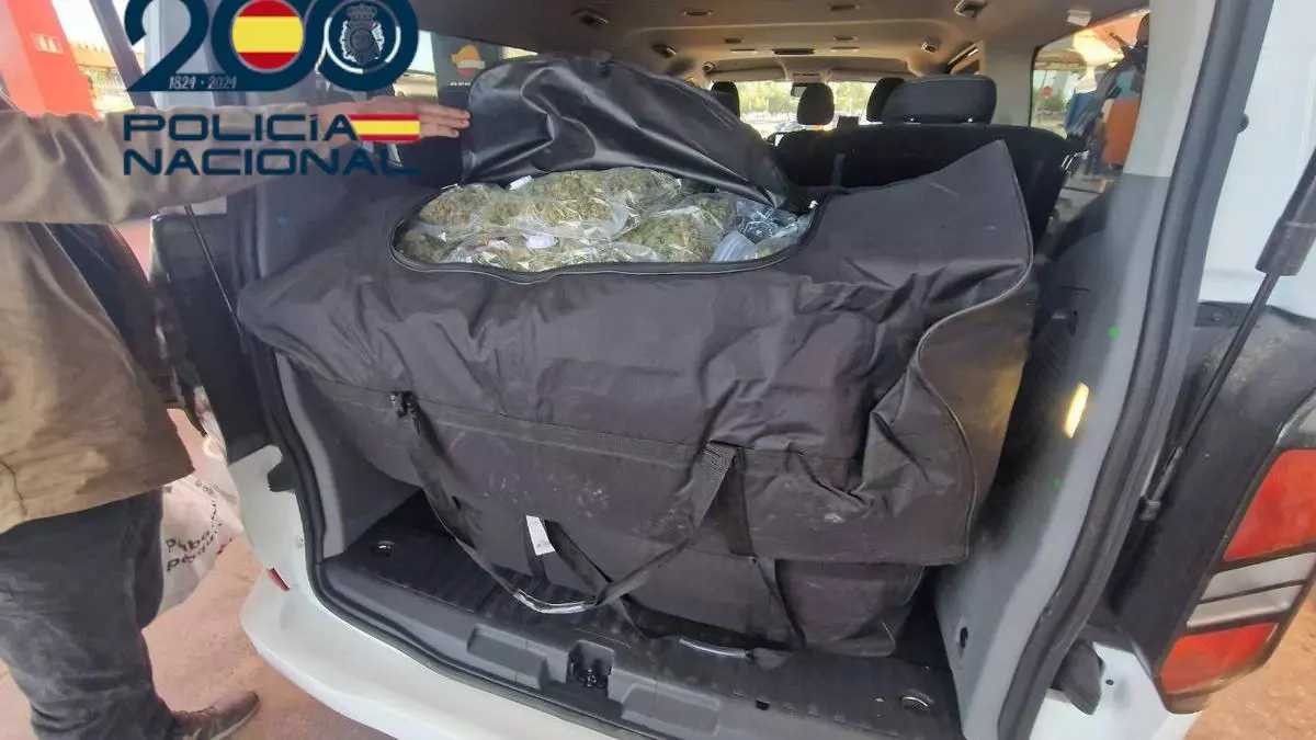 Tres detenidos en Benidorm y Zaragoza con 200 kilos de marihuana cultivada en Xixona