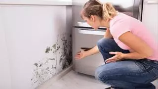 Seis remedios caseros que te ayudarán a eliminar las humedades de tu casa