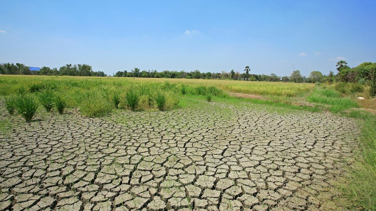 Energía solara para frenar el cambio climático.