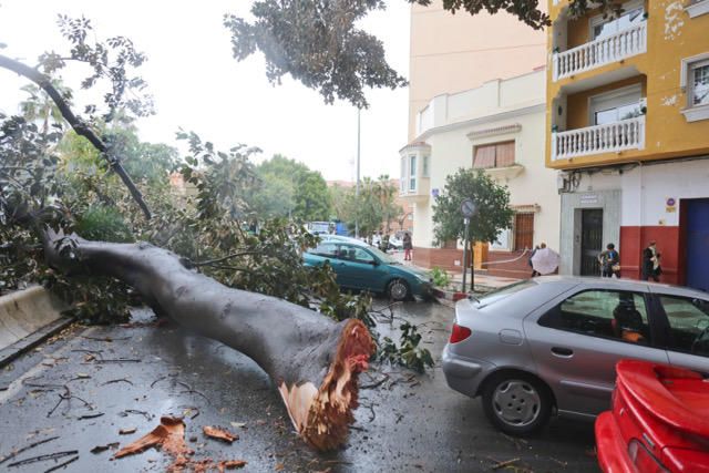 Las incidencias de la borrasca Ana en Málaga