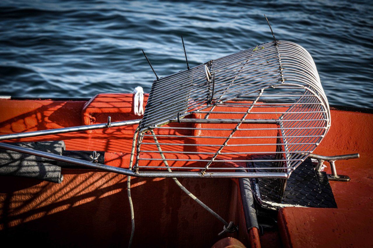 Mariscadores a flote (rañeiros) en el entorno de A Toxa (O Grove).