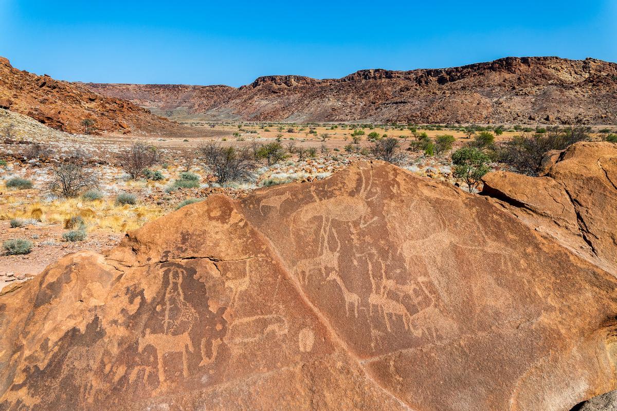 Grabados rupestres, petroglifos antiguos de animales en Twyfelfontein