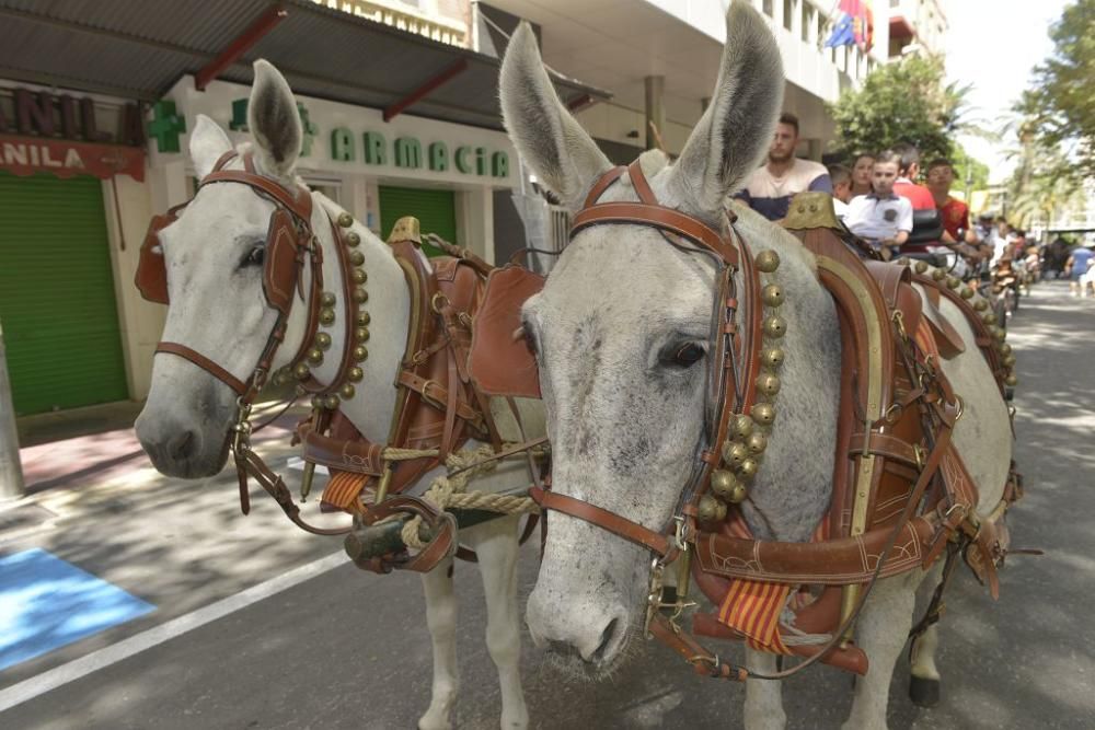 Día del caballo en la Feria de Murcia