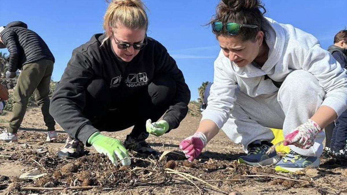 La limpieza es minuciosa la recoger los microplásticos a mano, de uno en uno.