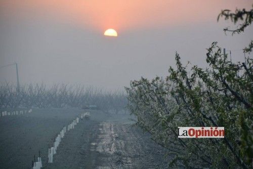 Helada del 17 de febrero de 2016 en Cieza