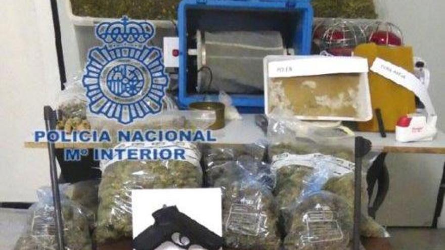 La cuidadora de una plantación de marihuana simula disparos a la policía para evitar su detención