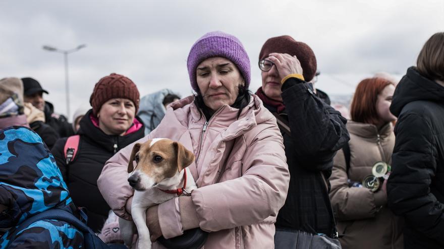 La guerra fuerza a ocho millones de ucranianos a refugiarse en Europa