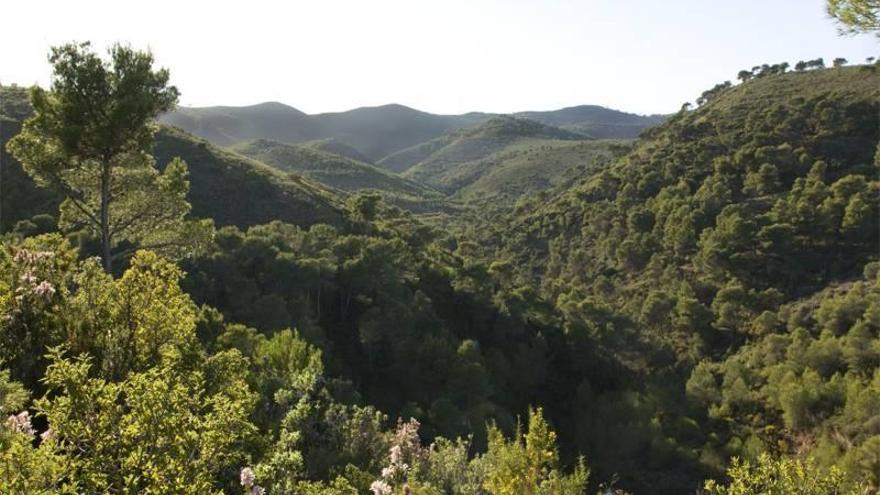 Segorbe tendrá una brigada forestal de emergencia