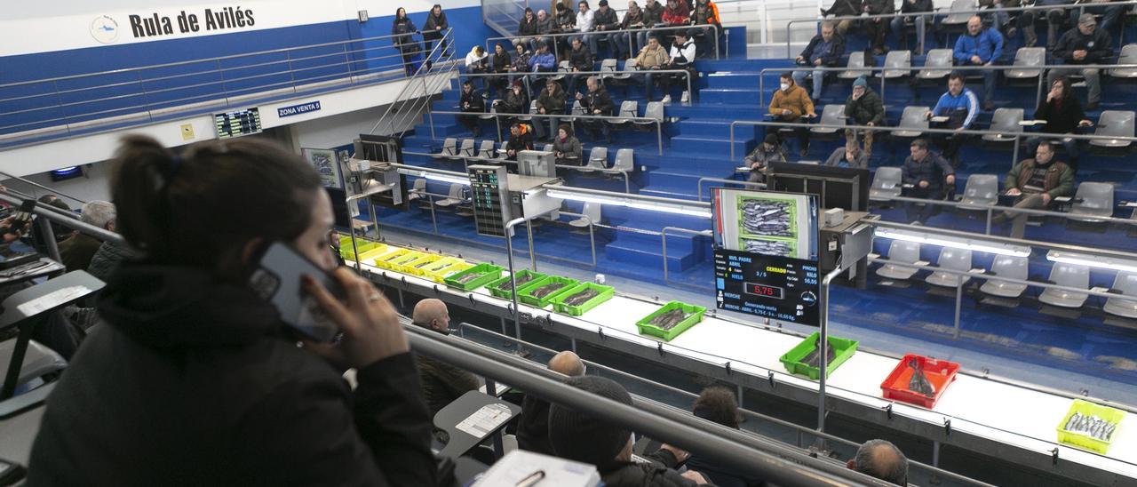 Compradores de pescado en la cancha de ventas de la rula de Avilés.