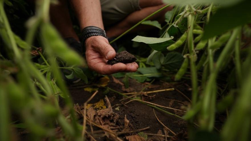 L&#039;agricultura i la ramaderia de la UE d&#039;aquí al 2035