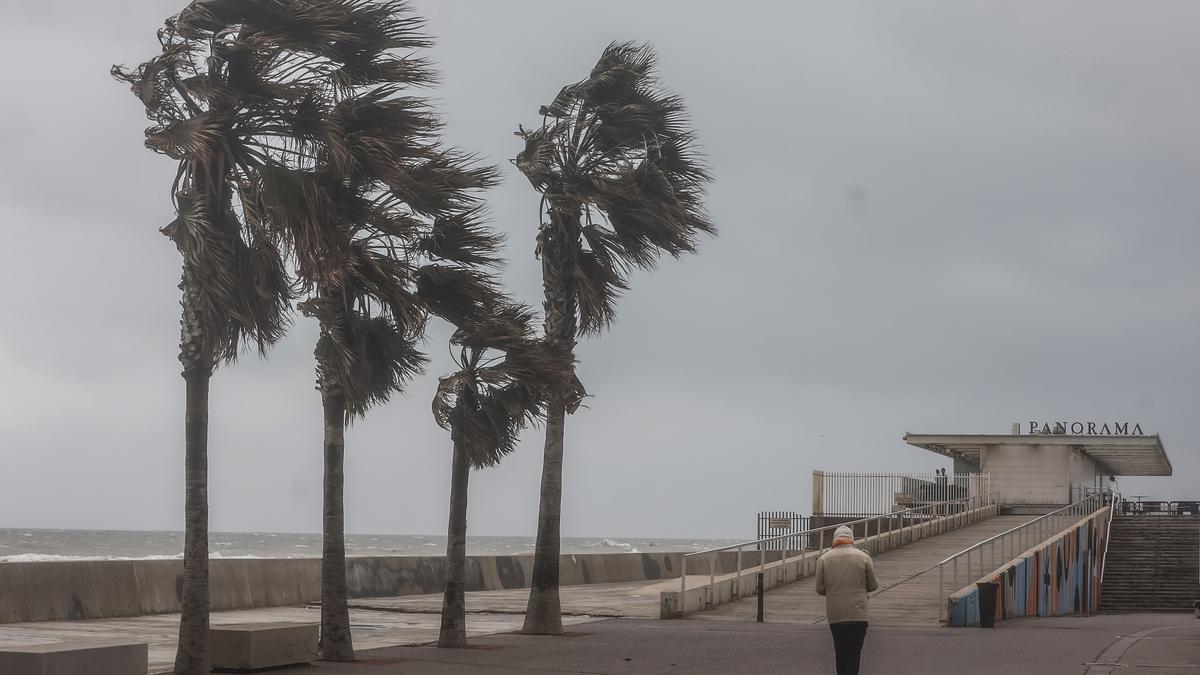 Mucho viento hoy en todo los municipios de Valencia: dónde las rachas superan los 100 km/h.