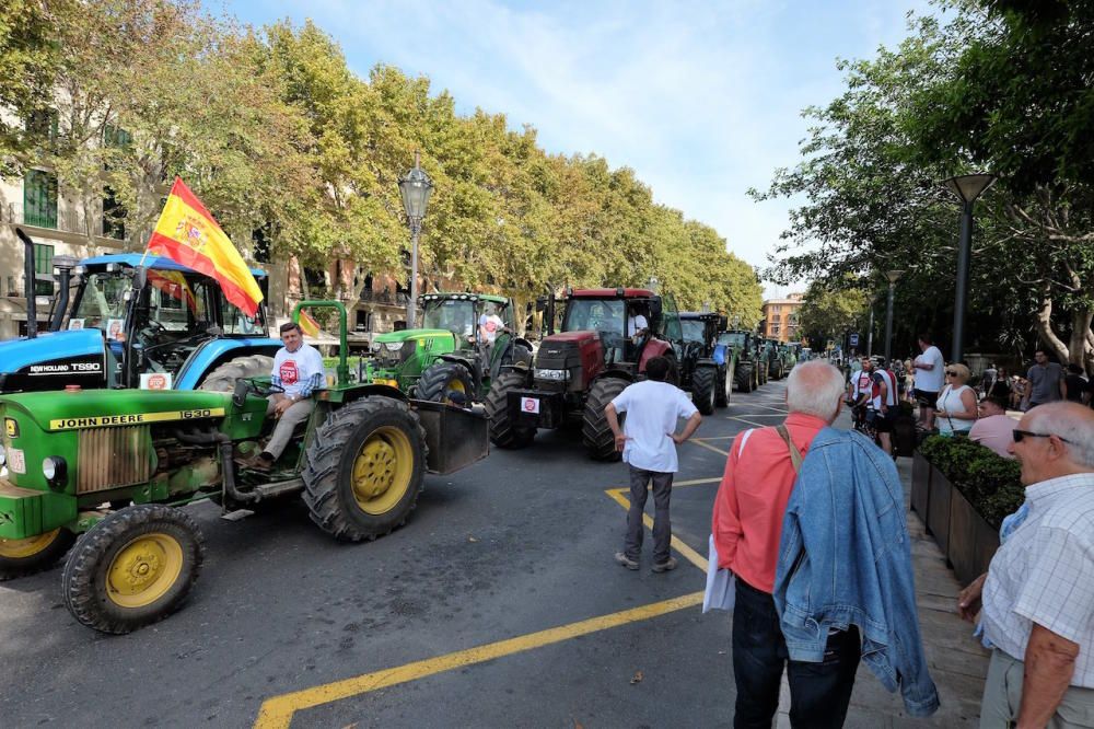 Miles de personas se manifiestan en Palma en defensa del mundo rural y la caza