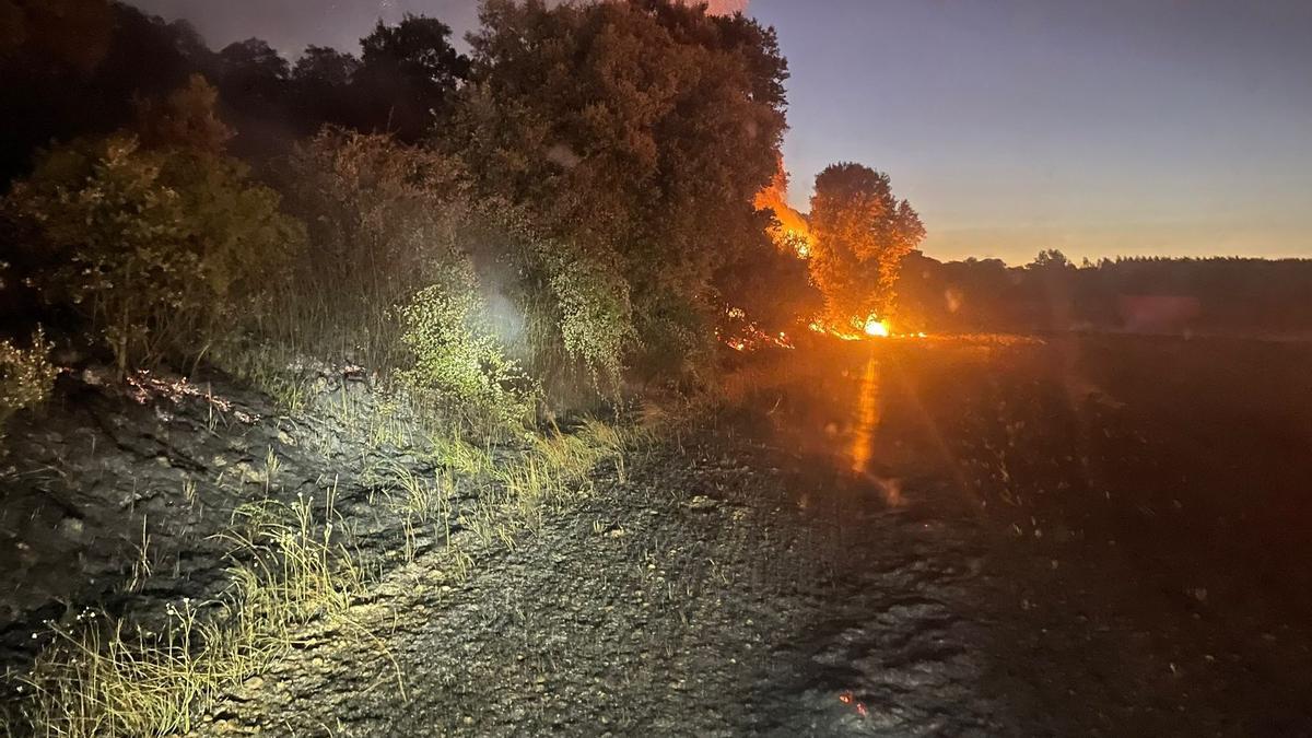 Fuego declarado en una superficie agrícola en Santa Cristina de la Polvorosa.