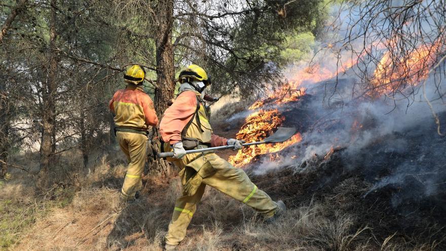 El incendio del Moncayo sigue fuera de control y afecta a un perímetro de más de 50 kilómetros