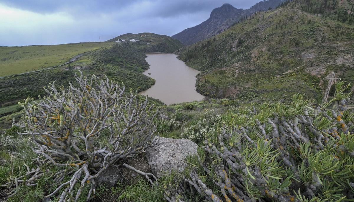Recorrido presas de Gran Canaria temporal Therese. Acusa, caideros y presa de Acusa Recorrido presas de Gran Canaria temporal Therese. Acusa, caideros y presa de Acusa