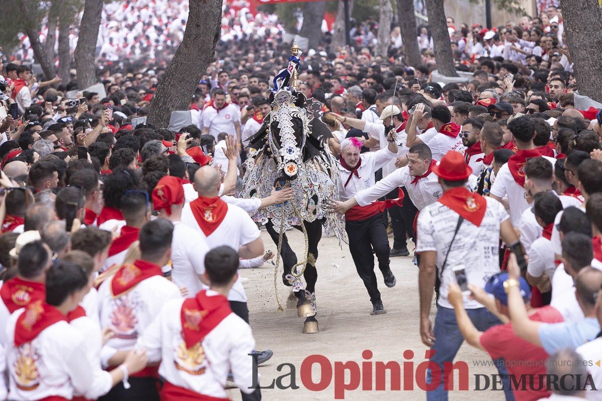 Así se ha vivido la carrera de Los Caballos del Vino en Caravaca