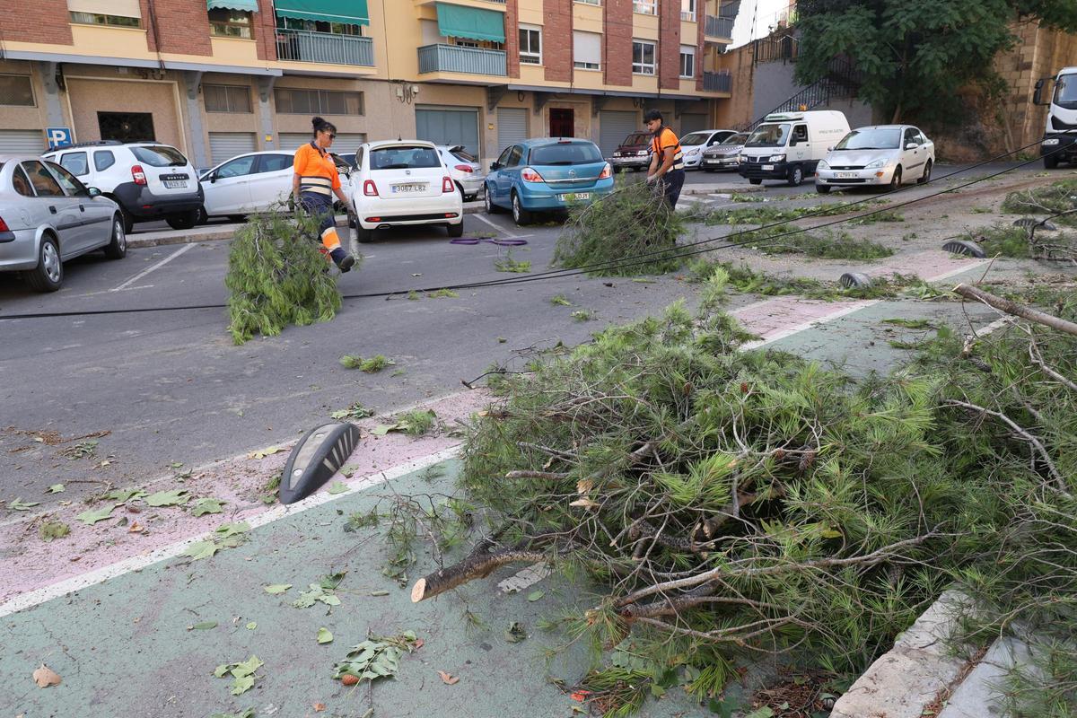 Imágenes del día después en Alcoy tras el temporal